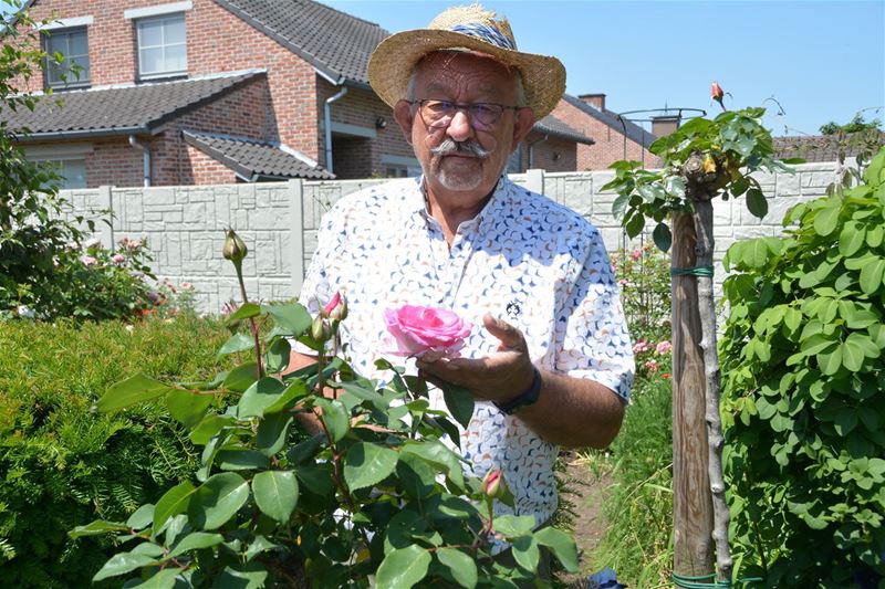 Rozenkring viert 30ste verjaardag met infosessie