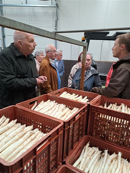 Samana Berkenbos genoot van asperges in Peer