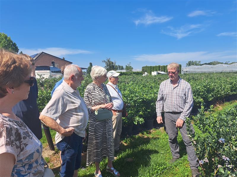 Samana bezocht blauwbessenbedrijf in Oudsbergen