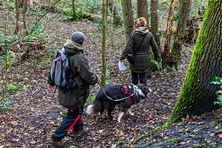 Searchdog@work houdt reddingshondenwedstrijd