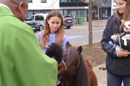St.-Hubertusviering Zolder wordt uitgebreid