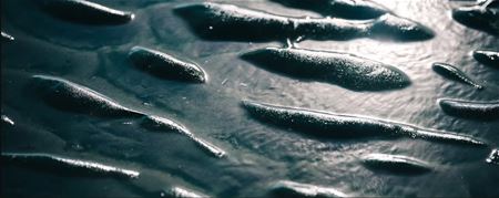 Terrae Humana: fotografie van Johan Vanstraelen