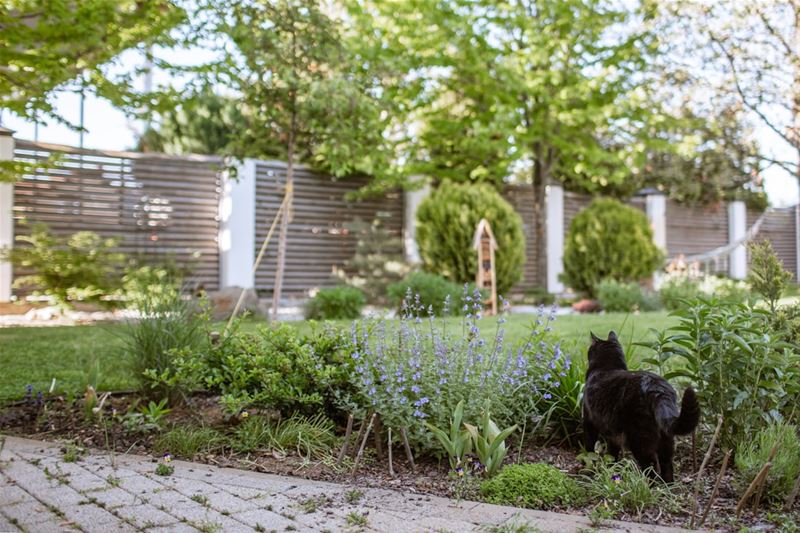 Tuinrenovatie? Pak het slim aan
