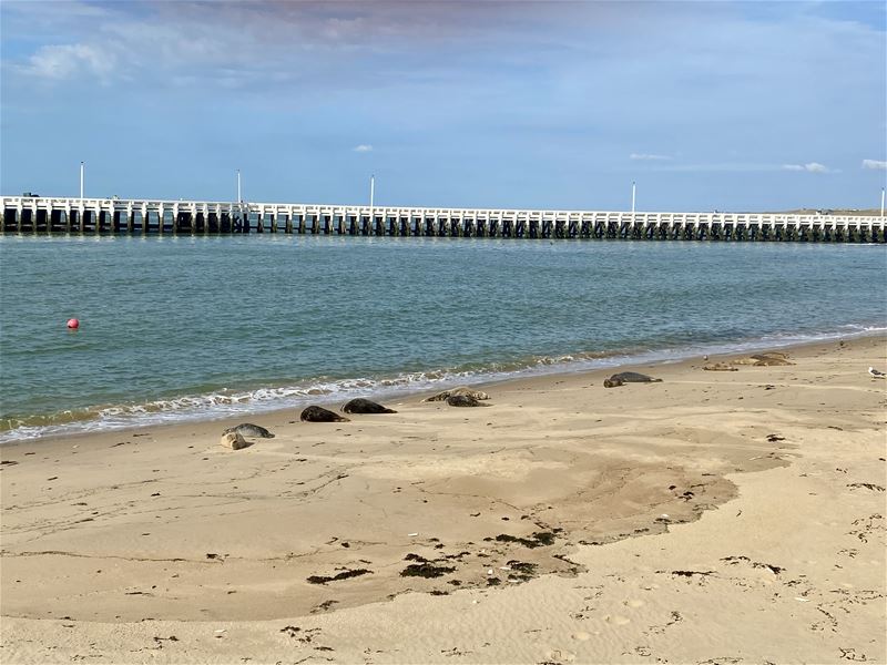 Vakantie is halfweg, onze fotowedstrijd ook