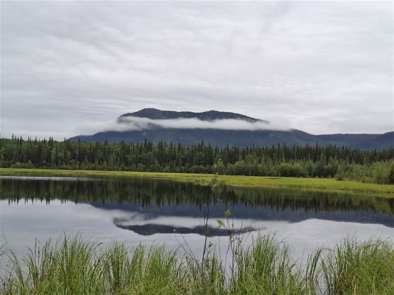 Vakantiegroeten uit Alaska