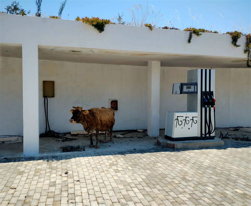 Vakantiegroeten uit Albanië