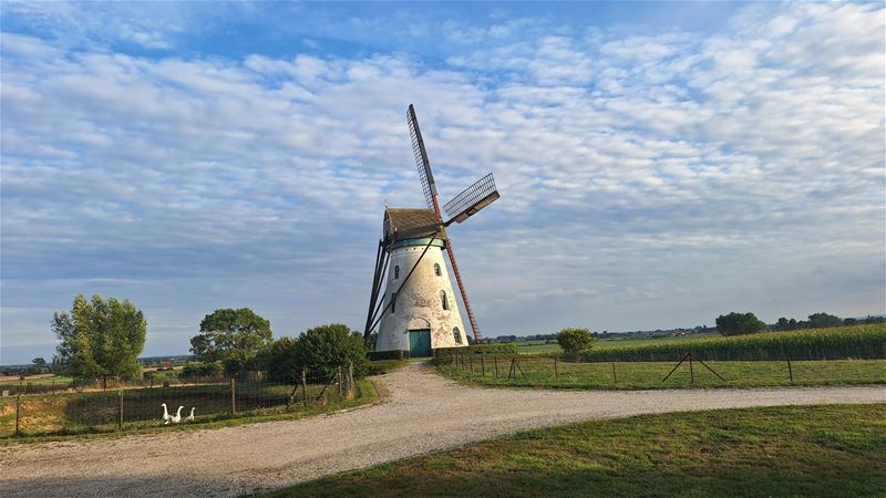 Vakantiegroeten uit Beveren-aan-den-IJzer