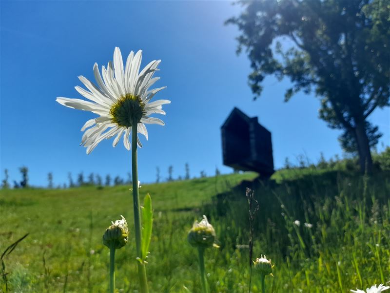 Vakantiegroeten uit Borgloon