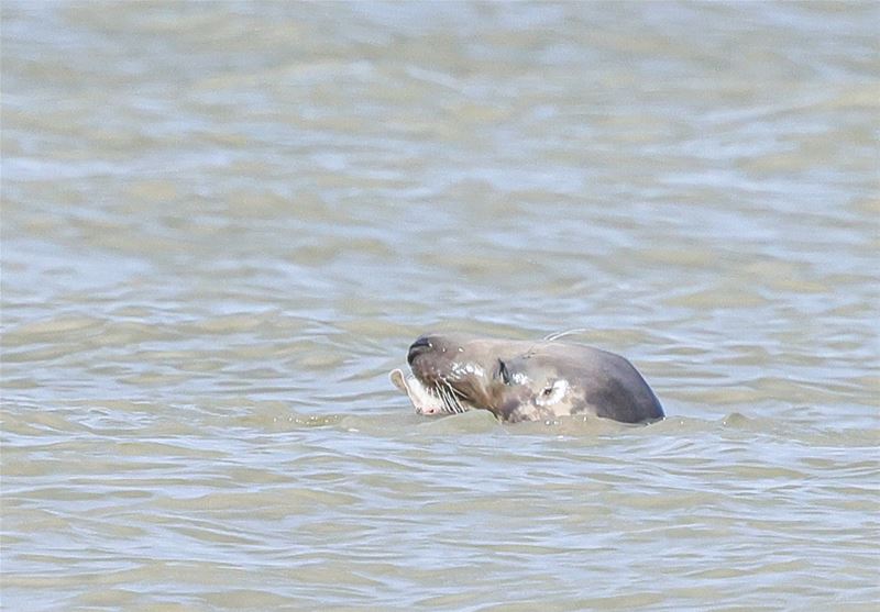 Vakantiegroeten uit Bredene