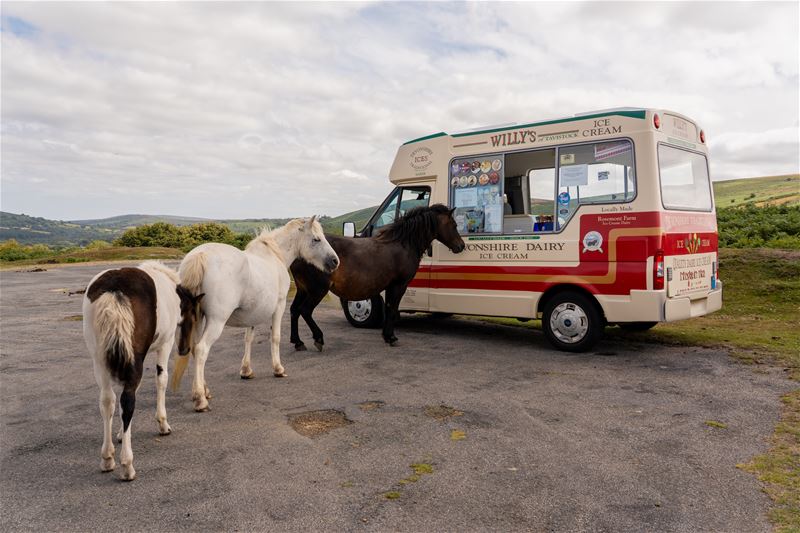 Vakantiegroeten uit Devon