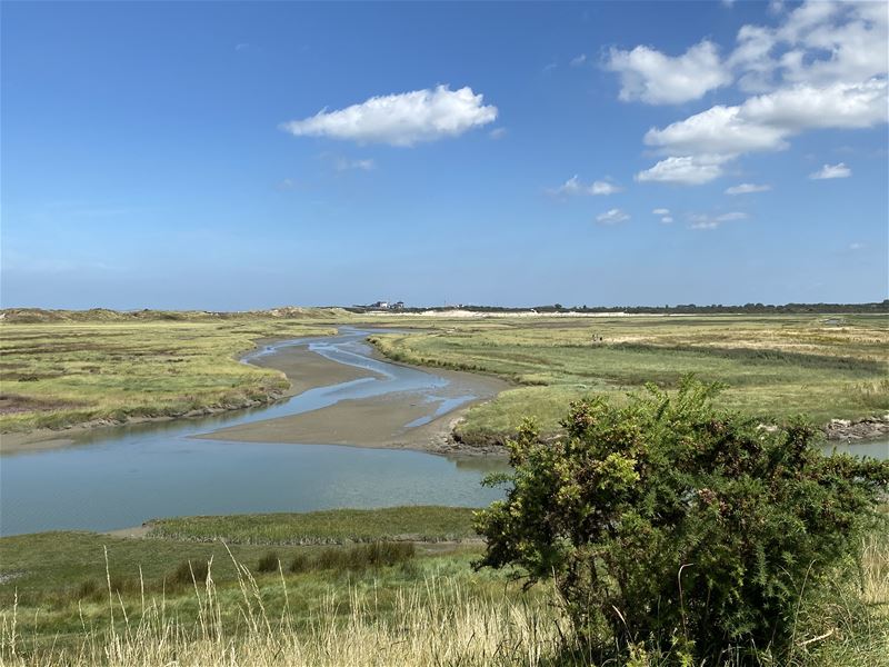 Vakantiegroeten uit Het Zwin