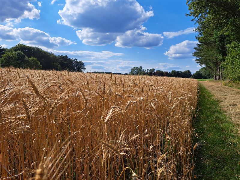 Vakantiegroeten uit Heusden-Zolder