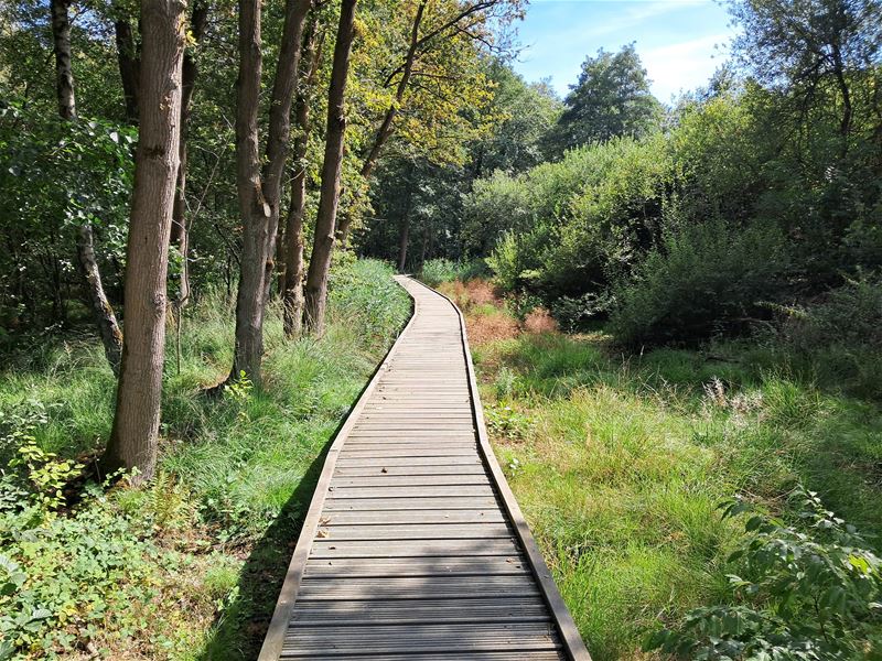 Vakantiegroeten uit Heusden-Zolder