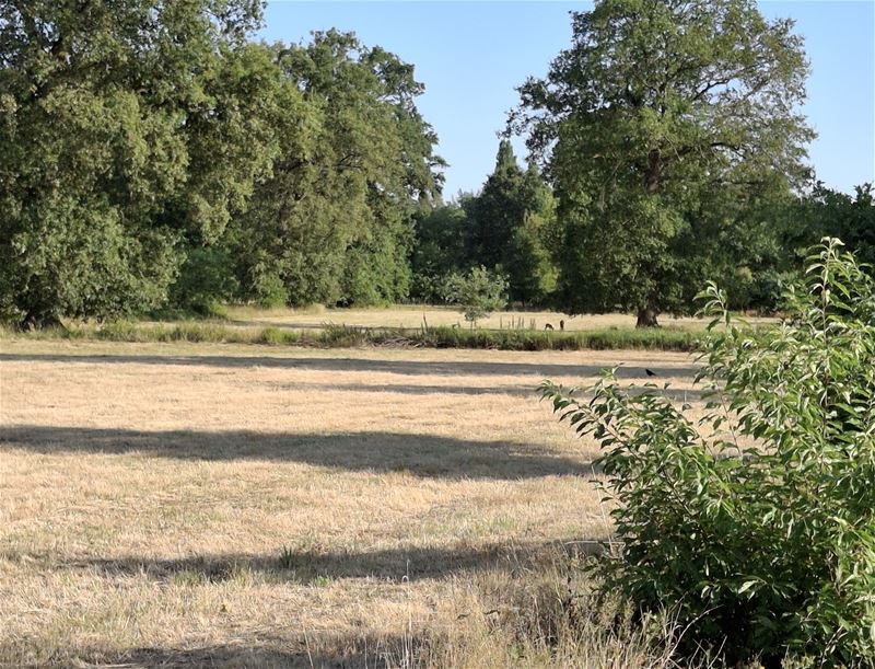 Vakantiegroeten uit Heusden-Zolder