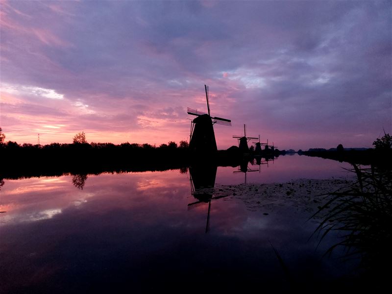 Vakantiegroeten uit Kinderdijk