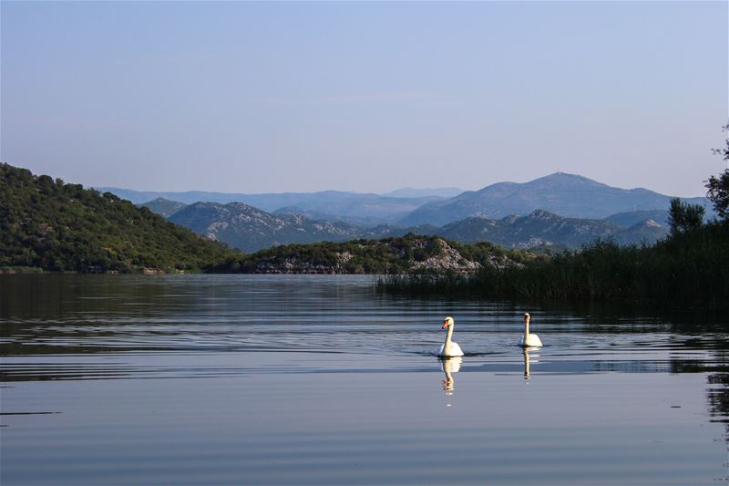 Vakantiegroeten uit Montenegro