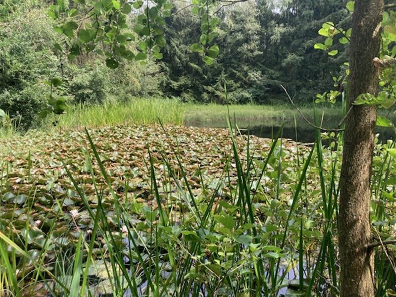 Vakantiegroeten uit Opglabbeek