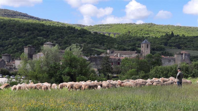 Vakantiegroeten uit Sainte-Eulalie-de-Cernon