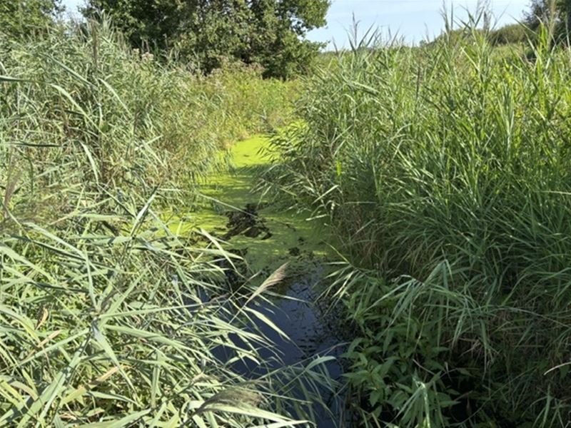 Vakantiegroeten uit Tessenderlo-Ham