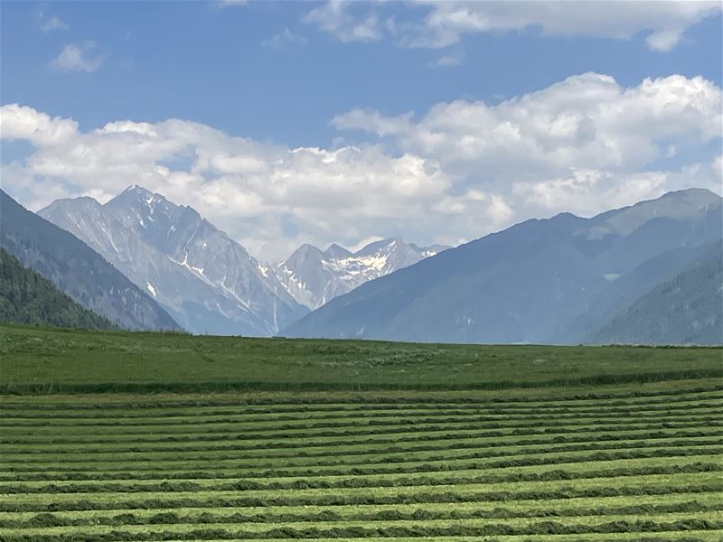 Vakantiegroeten uit Toblach