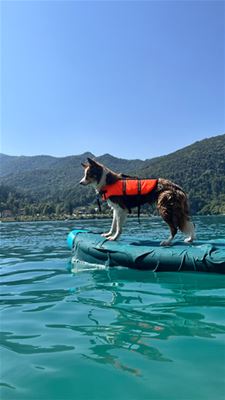 Vakantiegroeten uit Trentino
