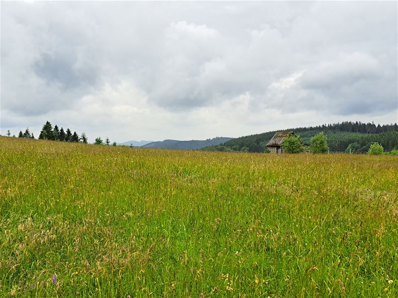 Vakantiegroeten uit Winterberg