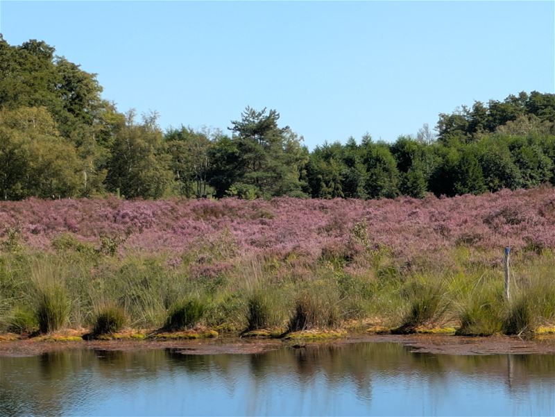 Vakantiegroeten uit Zonhoven