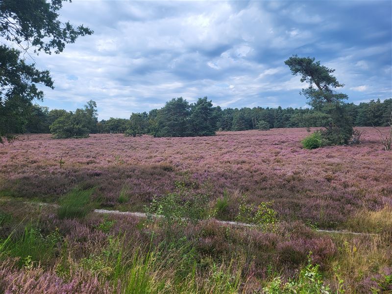 Vakantiegroeten vanop De Teut