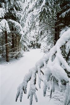 Vandaag begint de winter