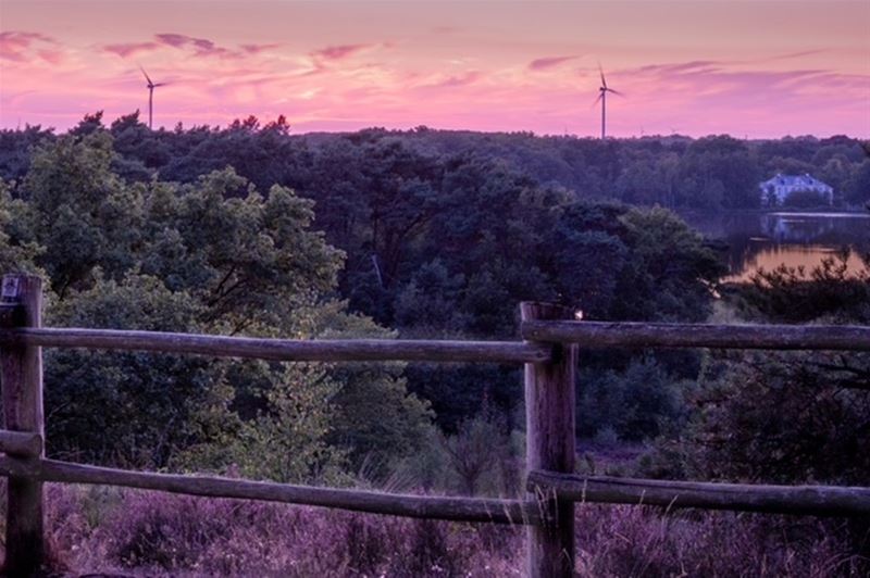 Vandaag is paars ...