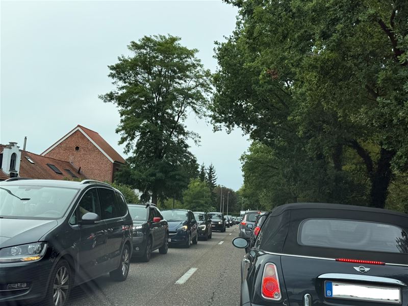 Verkeer strop door boom aan Meylandt