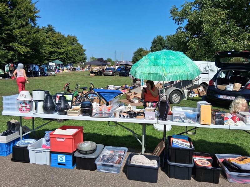 Voor elk wat wils op rommelmarkt in Eversel