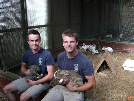 Wie wil helpen bij de redding van konijnen?