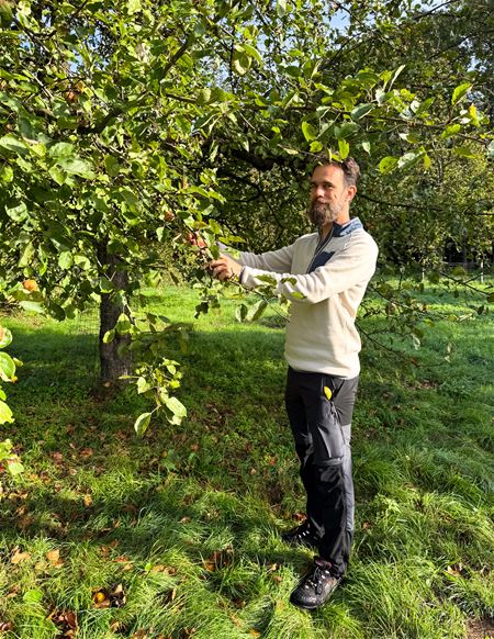 Wie wil helpen in de fruitboomgaard aan Meylandt?