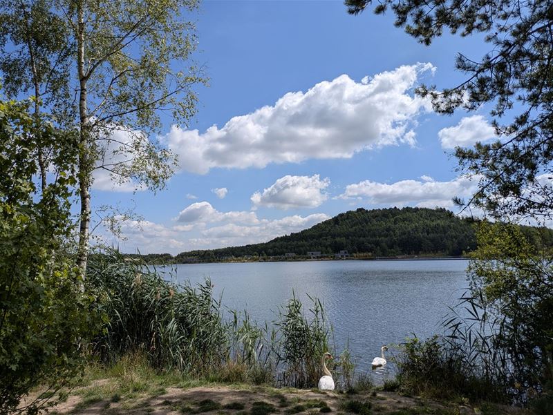 Win € 150 met je vakantiefoto uit Limburg