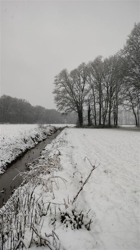 Winterse beelden