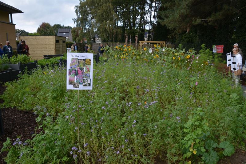 Workshops brengen mensen samen aan de Beleeftuin