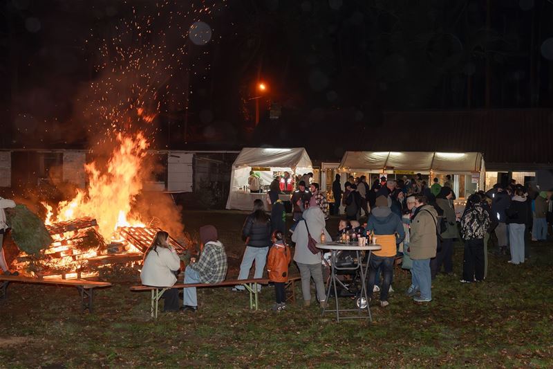 Zaterdag kerstboomverbranding bij De Perenboom