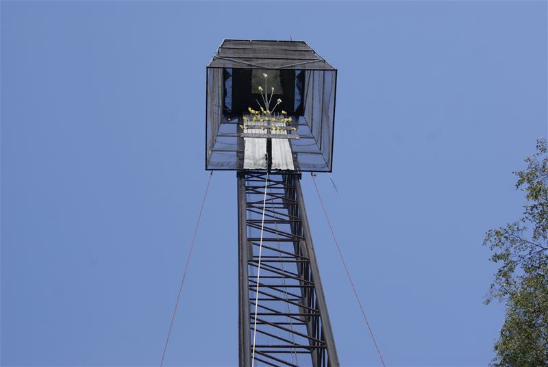 Zondag gemeentelijk schutterstornooi