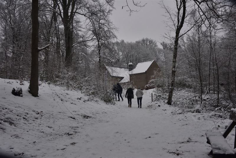 Zondag St.-Antoniuskermis en Winterborrelwandeling