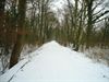 winterbeelden-op-de-tramroute