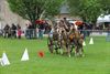 derde-plaats-voor-paddock-pony-s
