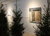 zondag-finissage-van-tree-of-life