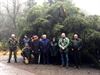 kerstboom-van-saint-hubert-is-onderweg