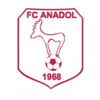 fc-anadol-versterkt-naar-nieuwe-seizoen