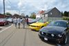 mustang-fever-mikt-op-1-000-wagens