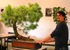 bonsai-snoeien-is-een-kunst