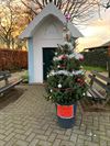 de-kerstboom-van-de-buurt