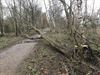 stormschade-blijft-beperkt