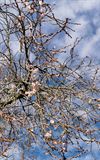 is-het-nu-winter-of-lente